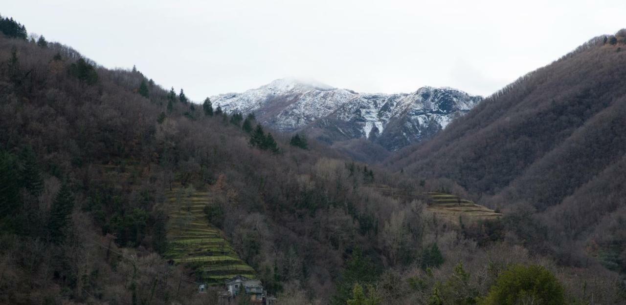 Casa Della Posta Apartment Borzonasca Luaran gambar